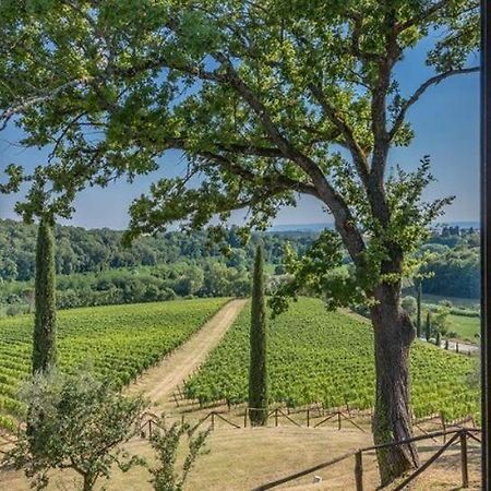 Agriturismo Poggio Bonelli 카스텔누오보베라덴가 외부 사진