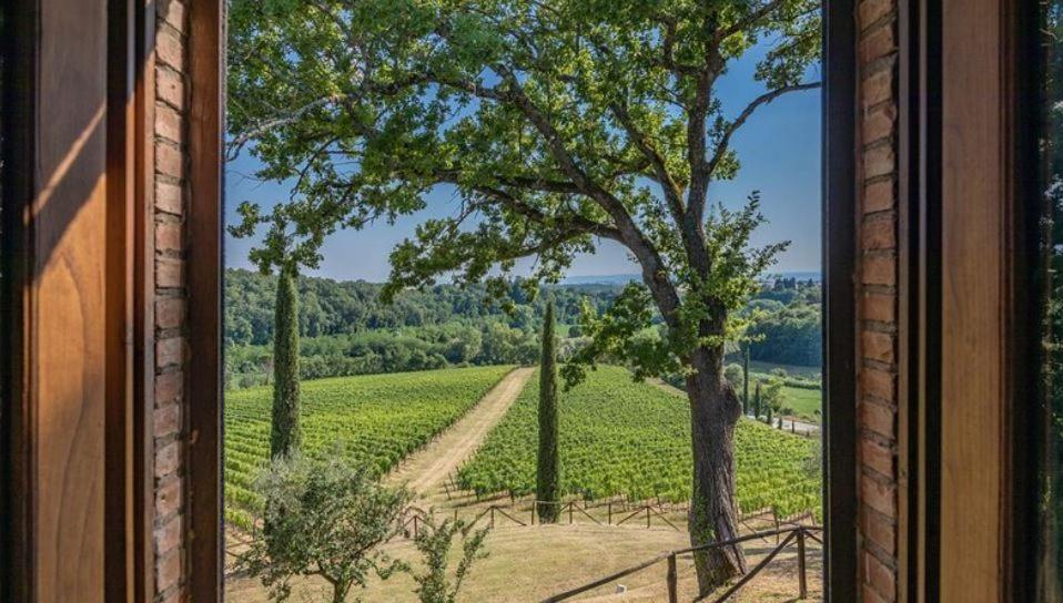 Agriturismo Poggio Bonelli 카스텔누오보베라덴가 외부 사진