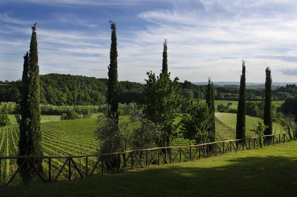 Agriturismo Poggio Bonelli 카스텔누오보베라덴가 외부 사진