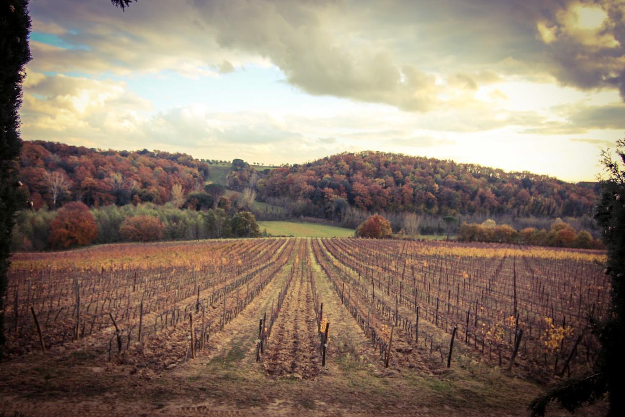 Agriturismo Poggio Bonelli 카스텔누오보베라덴가 외부 사진
