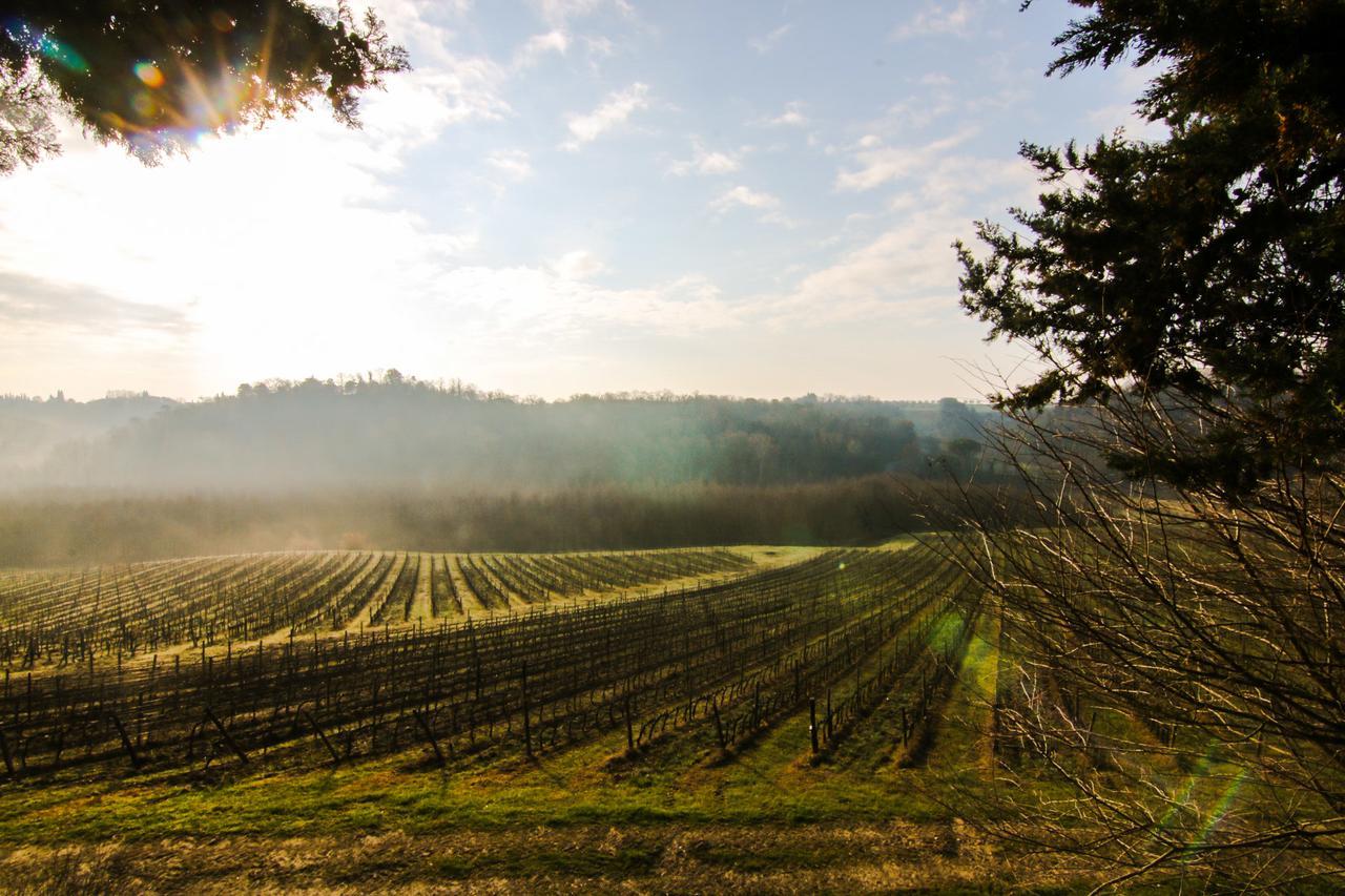 Agriturismo Poggio Bonelli 카스텔누오보베라덴가 외부 사진
