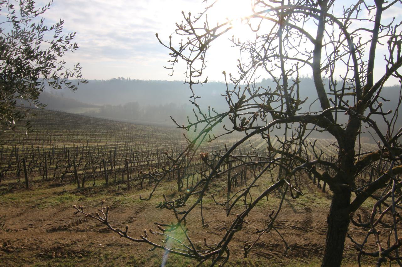Agriturismo Poggio Bonelli 카스텔누오보베라덴가 외부 사진